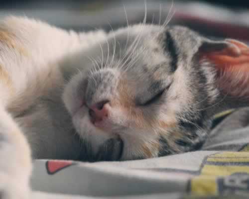 遭遇对方背叛后，女人若不想离婚最应该做的三件事 - 安枢恋知心殿堂