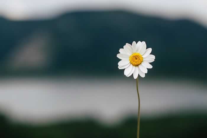 如何远离低质量的“爱”？(图4)