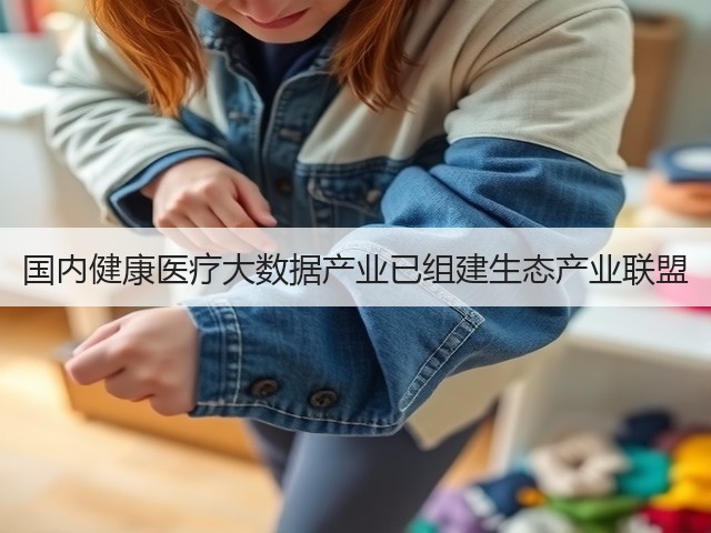 国内健康医疗大数据产业已组建生态产业联盟(图1)