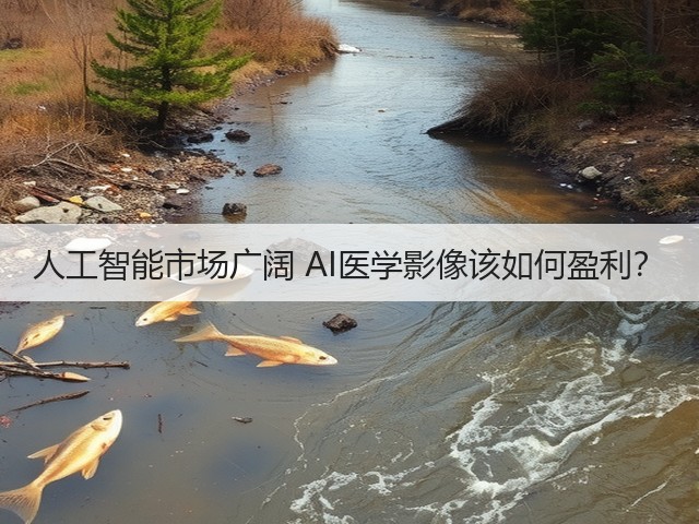 人工智能市场广阔 AI医学影像该如何盈利?(图3) 人工智能市场广阔 AI医学影像该如何盈利?(图3)