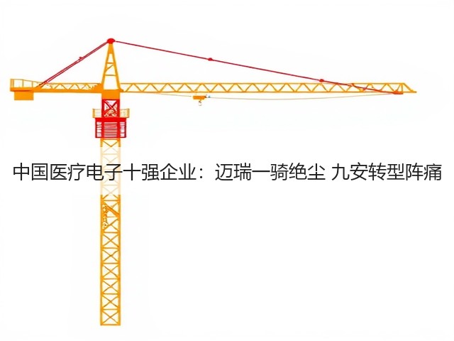 中国医疗电子十强企业:迈瑞一骑绝尘 九安转型阵痛(图1) 中国医疗电子十强企业:迈瑞一骑绝尘 九安转型阵痛(图1)