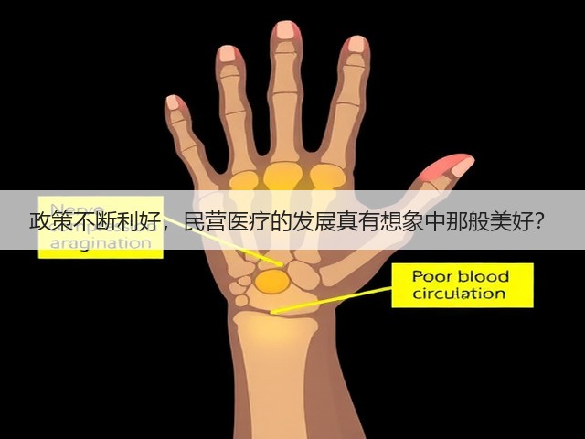 政策不断利好,民营医疗的发展真有想象中那般美好?(图3) 政策不断利好,民营医疗的发展真有想象中那般美好?(图3)