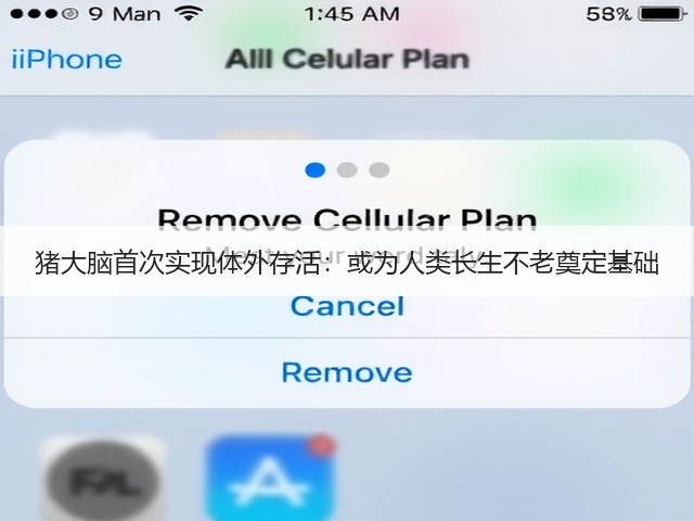 猪大脑首次实现体外存活：或为人类长生不老奠定基础(图1)