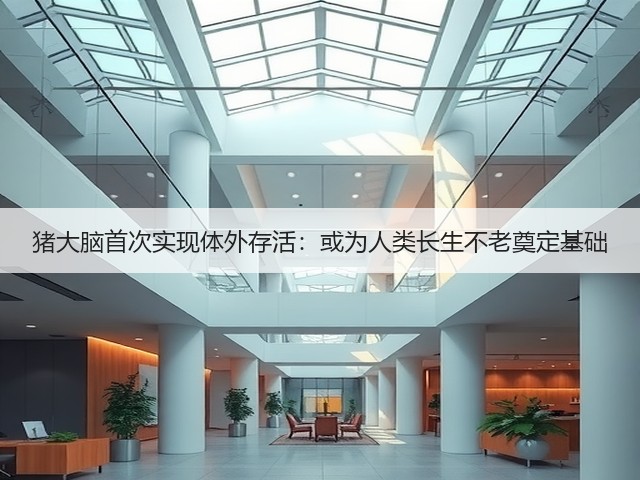 猪大脑首次实现体外存活：或为人类长生不老奠定基础(图3)