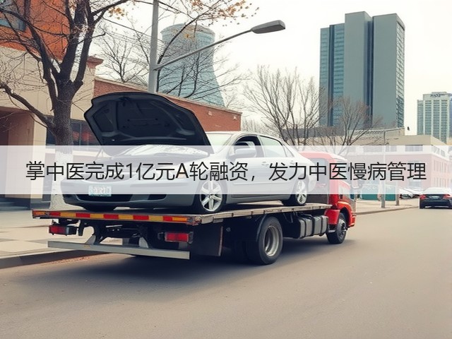 掌中医完成1亿元A轮融资,发力中医慢病管理(图1) 掌中医完成1亿元A轮融资,发力中医慢病管理(图1)