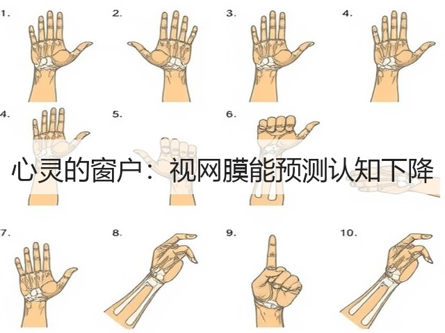 心灵的窗户:视网膜能预测认知下降(图1) 心灵的窗户:视网膜能预测认知下降(图1)