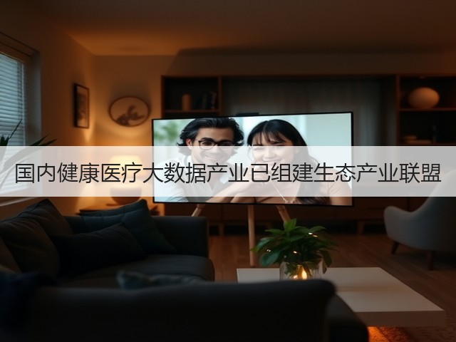 国内健康医疗大数据产业已组建生态产业联盟(图3)