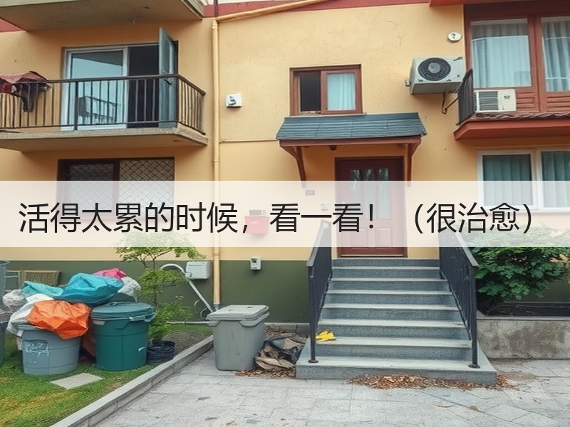 活得太累的时候，看一看！（很治愈）