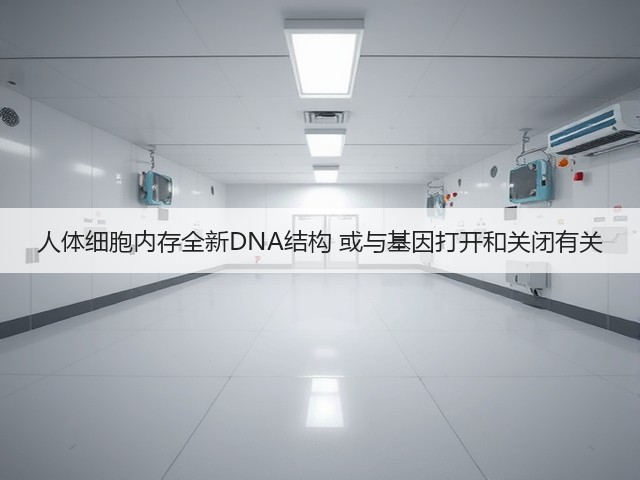 人体细胞内存全新DNA结构 或与基因打开和关闭有关(图1)