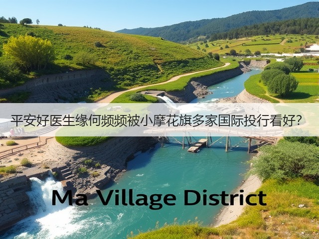 平安好医生缘何频频被小摩花旗多家国际投行看好?(图3) 平安好医生缘何频频被小摩花旗多家国际投行看好?(图3)