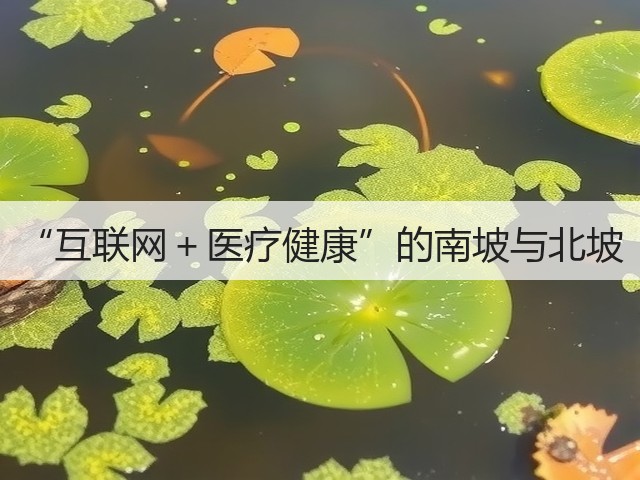 “互联网＋医疗健康”的南坡与北坡(图1)